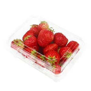 水果食品宠物塑料翻盖容器包装塑料食品包装