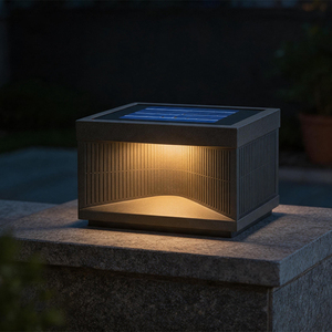 Lámpara de Poste LED para Exteriores OEM, Impermeable IP65, Acero Inoxidable 304, 1W, para Patio, Paisajes, Lugares Escénicos, Energía <span class=keywords><strong>Solar</strong></span>, Garantía de 5 Años - Product Image 2