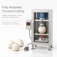 Machine automatique d'ouverture de noix de coco, perceuse à noix de coco, extraction d'eau de coco pour supermarché
