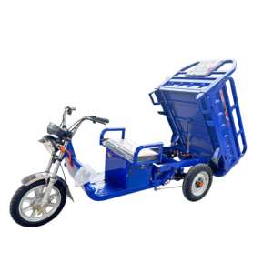 Triciclo de Carga, Triciclo Eléctrico de Alta Eficiencia, Nuevo Triciclo Eléctrico al por Mayor, Motocicleta Triciclo Eléctrica de 850W-1000w, Triciclo de 3 Ruedas - Product Image 6