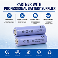 High Power EV 18650 30PL Lithium Ion Battery Cell 3000mAh 60A for E-bike Electric Scooter Battery Pack