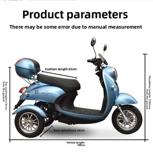 Triciclo Elettrico per Esportazione, Veicolo Familiare a Tre Ruote 12V, Uso Passeggeri, Carrozzeria Aperta, Elevata Capacità di Carico - Product Image 3