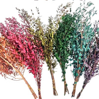100g de fleurs préservées, eucalyptus bleu bébé/eucalyptus à feuilles étroites, plantes réelles pour décoration intérieure verte