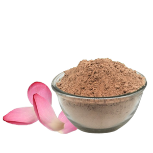 Extracto Seco de Flor de Loto (Nelumbo Nucifera) Premium, Secado por Aspersión y en Bandeja, Extracto Botánico Natural - Product Image 3