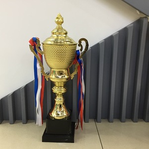 Metal <b>Trophies</b> 51CM 47CM 43.5CM 38CM <b>Engraving</b> Durable For Competitions And Awards - Product Image 2