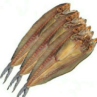 Fournisseur chinois Vente en gros de haute qualité Maquereau chinois séché au soleil Maquereau à pois bleus Poisson 10KG Approvisionnement commercial