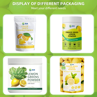 Poudre de citron naturelle de marque privée, haute qualité, soluble dans l'eau, poudre de boisson au citron, poudre de jus de citron biologique