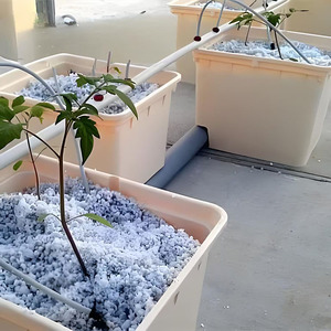 Piccolo nuovo sistema di botti idroponiche per la coltivazione dell'uva in serra e senza suolo - Product Image 5