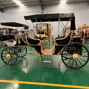 Elegante Carruaje de Caballos para Paseos Turísticos, Carroza de Caballos Clásica, Limusina Familiar Vintage, Carruaje de Caballos - Product Image 5