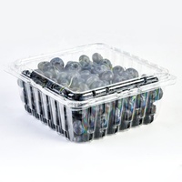 Conteneur en plastique PET en forme de rectangle pour fruits, emballage transparent pour myrtilles avec trous de ventilation, vente en gros