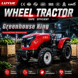 Venta Directa de Fábrica. Tractor Compacto con Ruedas y Motor con Certificación CE/EPA Euro <span class=keywords><strong>5</strong></span>. Tractor Agrícola de Cuatro Ruedas - Product Image 2