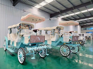 Carroza de Cenicienta Personalizada con Diseño Floral, Vehículo Eléctrico de Lujo de Cuatro Ruedas para Turismo, Fabricante de Transporte Especializado - Product Image 6