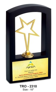 Trofeos de metal de la mejor calidad, placas de medallas para artistas estrella y triunfadores del proveedor indio para la industria de seguros - Product Image 5