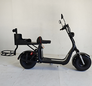 Scooter de <span class=keywords><strong>golf</strong></span> électrique intelligent 2000W, pliable, étanche, avec GPS, 2 places, pneus larges, de l'usine chinoise Loyal - Product Image 4