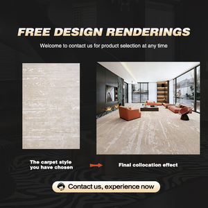 Dsermer Alfombra Moderna Impermeable Beige Nuevo Modelo para Áreas de la Casa Tapetes para Sala de Estar Alfombras y Tapetes Esponjosos Moqueta de Pared a Pared - Product Image 2