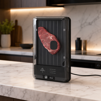 Plateau de décongélation électrique pour viande congelée, machine de décongélation rapide 8X avec plaque en aluminium amovible et fonction UV-C