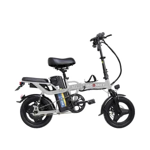 OEM 14 Zoll 400 W faltbares E-Bike 48 V 10 Ah 15 Ah 20 Ah 25 Ah E-Bike faltbares Elektrofahrrad