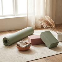 Accessoires de yoga et de Pilates, brique de yoga légère, portable, à emporter en cours, couleur personnalisée, faible MOQ, brique de yoga Pilates