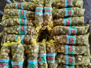 أحدث محصول القلقاس الطازج المغسول بالماء الطازج مصنع القلقاس عالية الجودة - Product Image 6