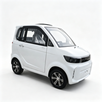 Voiture électrique miniature à 4 roues fermée, véhicule électrique à basse vitesse, petite voiture électrique pour adultes, pour les trajets quotidiens.