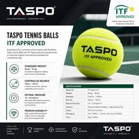 Balles de padel Taspo toutes saisons - Idéales pour le jeu en extérieur - Rebond élevé et durabilité - Emballage personnalisé