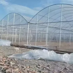 Película de plástico de un solo palmo de invernadero Venta caliente poli casa agricultura