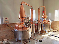 Distillateur de pot distillé de cuve de brassage en cuivre 300L et machine de distillation d'alcool à vendre-équipement de fermentation