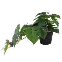 Senmasine Look Réaliste Artificielle Verdure Verte Faux Monstera Plantes Pour La Maison Bureau Table Intérieur Extérieur Suspendu Décoration