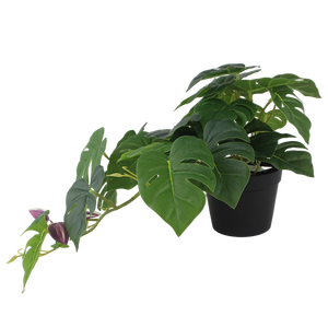 Senmasine tanaman Monstera palsu, tampilan realistis hijau buatan untuk rumah kantor meja dalam ruangan luar ruangan dekorasi gantung - Product Image 4