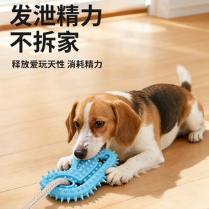 Jouet à mâcher pour chien avec ventouse pour le nettoyage des dents, pour petits chiens, pour un jeu amusant et une activité physique, jouet pour animaux de compagnie avec poignée en corde - Product Image 3
