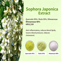 Complément de haute pureté, extrait naturel de Sophora japonica, poudre de quercétine à 98%