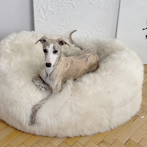 Cama de perro de algodón <span class=keywords><strong>PP</strong></span> de espuma viscoelástica suave y cómoda de felpa redonda - Product Image 1
