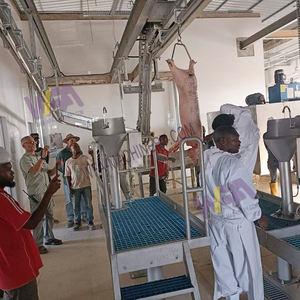 批发价每小时100头猪屠宰场机猪屠宰场设备屠体运输猪输送轨道 - Product Image 5