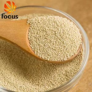 Poudre de <span class=keywords><strong>levure</strong></span> <span class=keywords><strong>turbo</strong></span> de qualité alimentaire pour boissons alcoolisées, tolérante aux hautes/basses températures, 500 g / 5 kg - Product Image 1