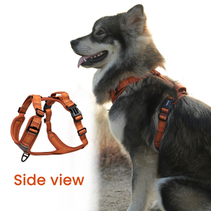 สายรัดสุนัขแบบปรับได้ Sunraymascota รุ่น Heavy Duty ป้องกันการดึง  คอลเลคชั่น Heritage  สายรัดสุนัขดีไซน์เนอร์  พร้อมโลโก้สั่งทำ - Product Image 3