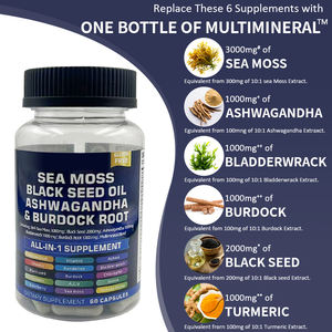 Capsules de mousse d'Irlande en gros pour l'énergie - Capsules de mousse d'Irlande naturelles et végétaliennes en vrac - Livraison rapide, complément en marque privée - Product Image 2