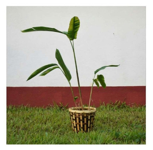 Cesto de Basura Ecológico de Bambú con Tejido Artesanal Natural para Baño, Dormitorio, Espacio de Trabajo, Esquinas de Cocina y Decoración - Product Image 1