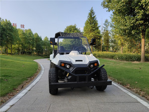 Buggy 2 places, buggy UTV, essieu UTV, pas cher - Product Image 4