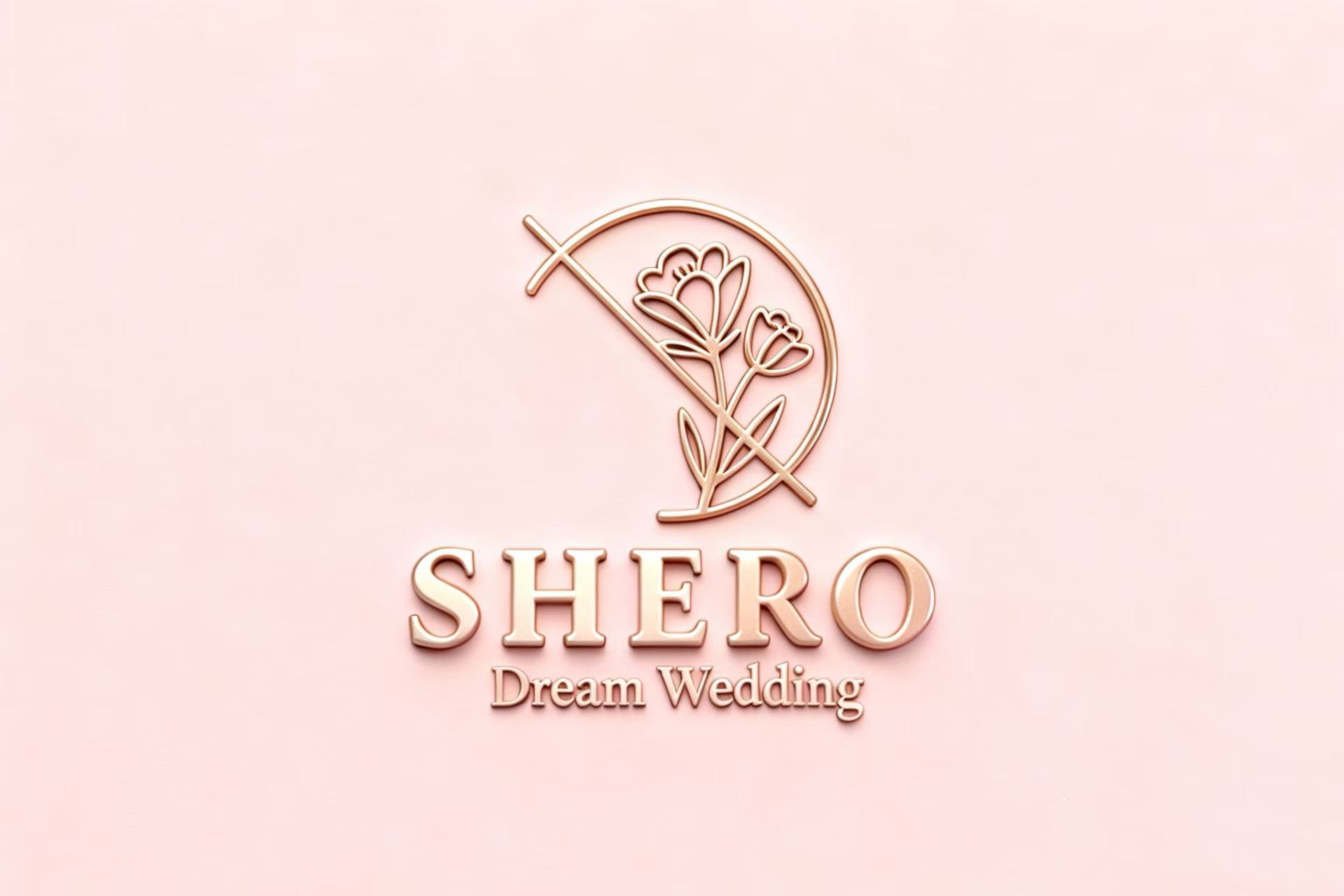 Sichuan Shiru Technology Co., Ltd. logo