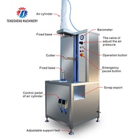 Roestvrijstalen Voedselmachine Automatische Mango Watermeloen Schilmachine Pompoen Witte Kalebas Dunschiller (TS-P30)
