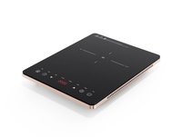 OEM ODM pour cuisinière à induction électrique de cuisine, puissance 2000W, cuisinière à induction multifonction, portable, pour la maison électrique
