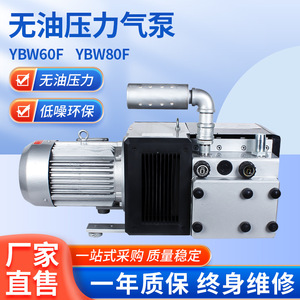 Bomba de Vacío de Presión Única Isge Ybw60f80f, 22 L/min, Sin Aceite, de Paletas Rotativas Horizontales para Maquinaria de Carpintería - Product Image 3