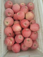 Pomme fuji chinoise douce rouge juteuse, vente en gros, prix à l'exportation de la chine