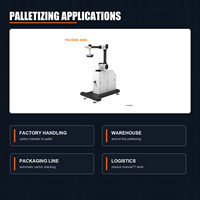 Robot collaboratif en alliage avec PLC et moteur, capacité de charge de 30 kg, pour palettisation de cartons et manutention de matériaux en usine, 4-9 boîtes/min