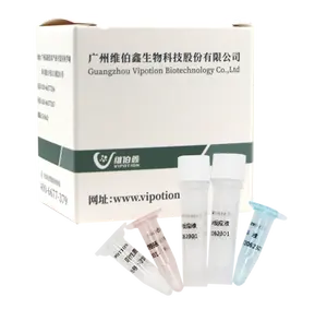 Kit deteksi virus sindrom tetes telur unggas Realtime PCR rtr tes lyophilized kit uji qPCR pabrikan