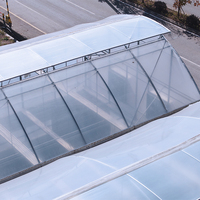 Serre gothique à dents de scie de pointe supérieure, conception de ventilation tropicale, à structure à crémaillère et pignon, serre multi-travées en film pour la culture de fraises