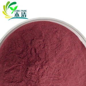 Poudre lyophilisée de fruit de <span class=keywords><strong>cassis</strong></span> Poudre de jus de <span class=keywords><strong>cassis</strong></span> <span class=keywords><strong>à</strong></span> <span class=keywords><strong>vendre</strong></span> - Product Image 3