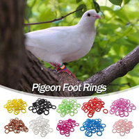 Bague d'identification en caoutchouc élastique pour pigeon de course, accessoires pour pigeon, produit pour pigeon, bague pour oiseau