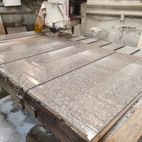 Dalle de granit gris argenté G325 polie pour comptoir de cuisine, salon, escalier, pavage extérieur
