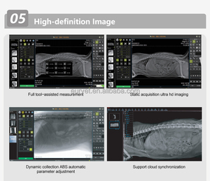 Máquina de Rayos X Veterinaria de Alta Frecuencia EUR VET con Detector DR, Equipo Veterinario para Hospitales - Product Image 6